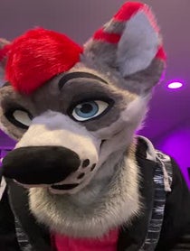 Poster for Birthday video from Dayzer Husky