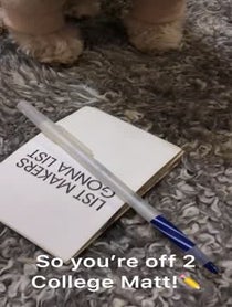 Poster for Other video from LIV MORKIE