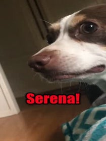 Poster for Other video from Mr. Bubz