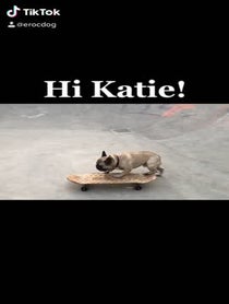 Poster for Birthday video from Eroc Dog