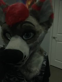 Poster for Other video from Dayzer Husky