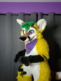 Poster for Birthday video from Pineapple Fox