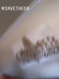 Poster for Other video from Brandon Perea