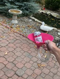 Poster for Roast video from Too Turnt Tony