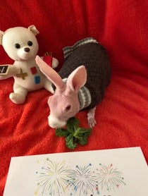 Poster for Gift video from Mr Bigglesworth