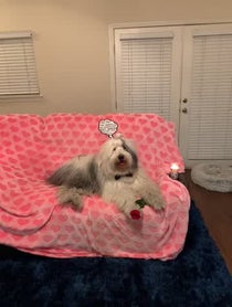 Poster for Other video from Rocco