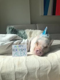 Poster for Birthday video from Stella Max Johnson