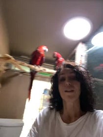 Poster for Pep Talk video from Heidi  Fleiss