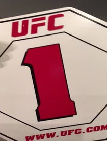 Poster for Other video from Mascot Chuck Liddell