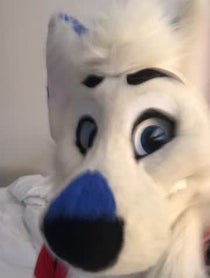 Poster for Other video from Marks Barks