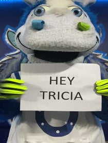 Poster for Roast video from Blue