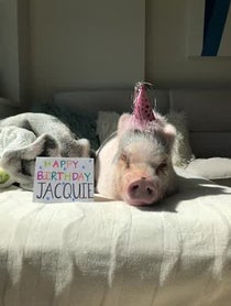 Poster for Birthday video from Stella Max Johnson