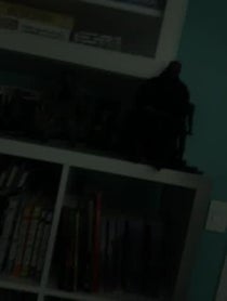 Poster for Birthday video from Ray Park