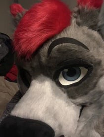 Poster for Other video from Dayzer Husky