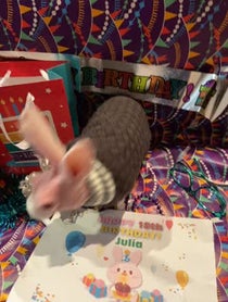 Poster for Birthday video from Mr Bigglesworth