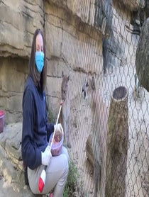 Poster for Anniversary video from Cougar at Houston Zoo