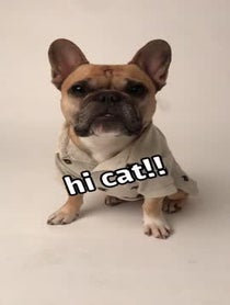 Poster for Other video from Gus Gus