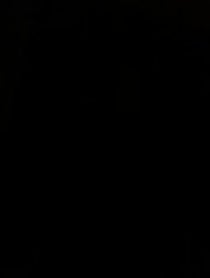 Poster for Other video from Tori D’Onofrio