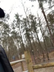 Poster for Birthday video from Brandon Currin “CURRIN1776” SOUTHERN SURVIVAL NETFLIX
