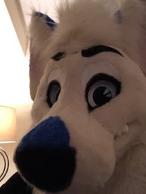 Poster for Other video from Marks Barks