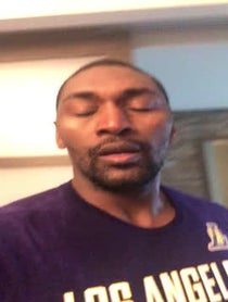 Poster for Other video from Metta World Peace