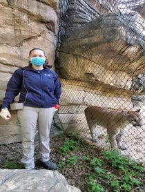 Poster for Birthday video from Cougar at Houston Zoo