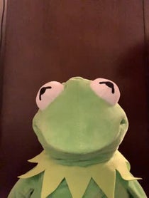 Poster for Birthday video from KermitOnTikTok