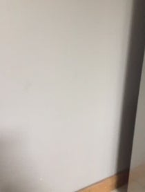 Poster for Other video from Seafoam Kitten ASMR