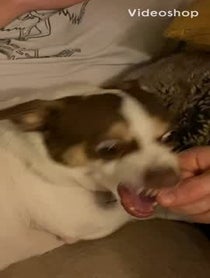 Poster for Mother's Day video from Mr. Bubz