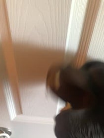 Poster for Gift video from Ape puppet