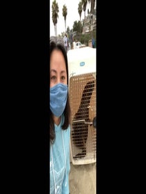 Poster for Birthday video from Pacific Marine Mammal Center