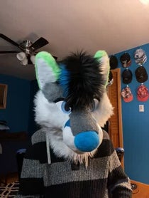 Poster for Other video from Kiwi Fox