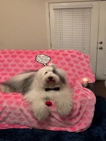 Poster for Other video from Rocco