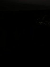 Poster for Other video from Isaac Cole Powell