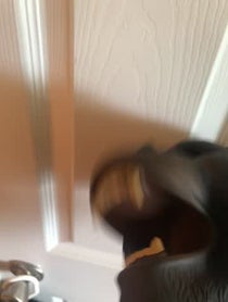 Poster for Other video from Ape puppet