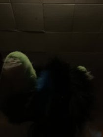 Poster for Other video from Kiwi Fox