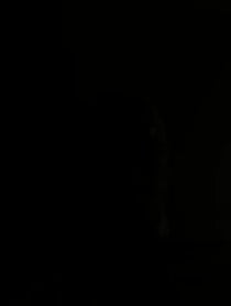Poster for Other video from Djibril Cisse