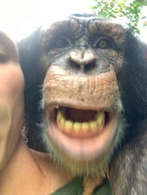 Poster for Other video from Kody Antle