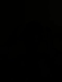 Poster for Other video from Taylor Lynn