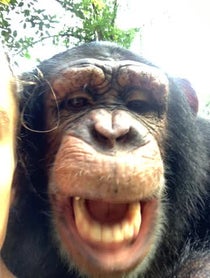 Poster for Other video from Kody Antle