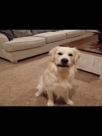 Poster for Other video from Charlie the Golden