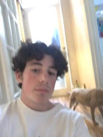 Poster for Roast video from William Fox