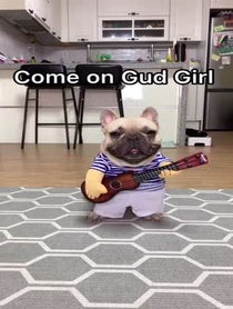 Poster for Other video from Griffin Frenchie