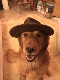 Poster for Birthday video from Aspen the Mountain Pup