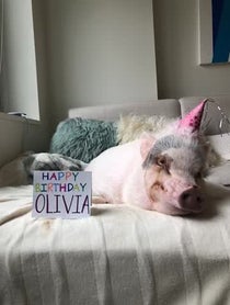 Poster for Birthday video from Stella Max Johnson