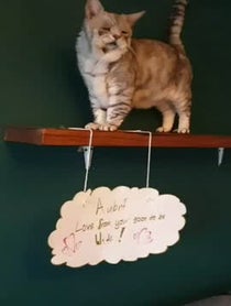 Poster for Other video from Toby & Quinton