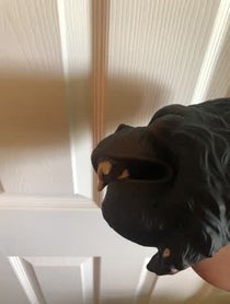 Poster for Pep Talk video from Ape puppet