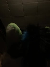 Poster for Other video from Kiwi Fox
