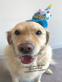 Poster for Birthday video from Horlicks the Golden