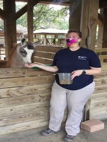 Poster for Birthday video from Fiesta the Llama at Houston Zoo